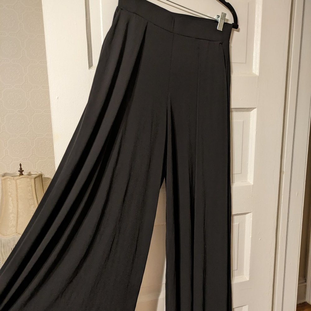 Express Wide Leg Pant